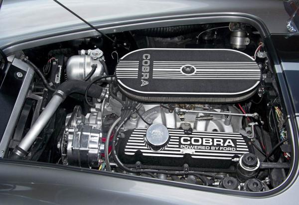 cobra grubbs in engine