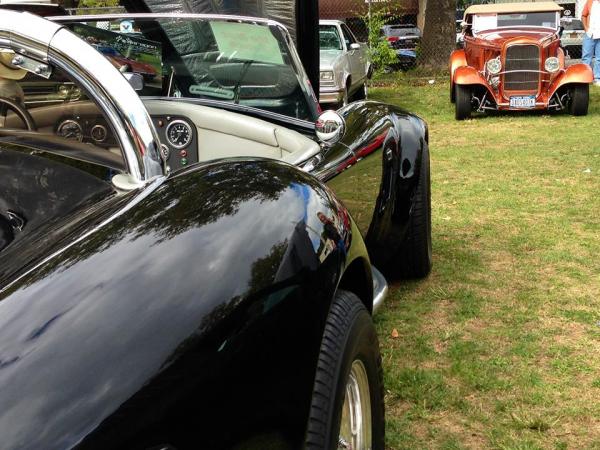 COBRA CURVES