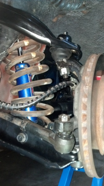 50. Suspension Issue