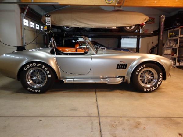 cobra8 (640x480)