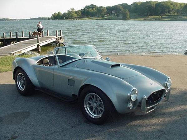 My Cobra 4