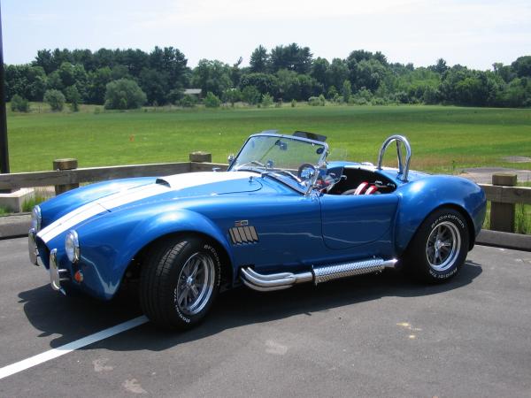 Cobra at rest no numbers