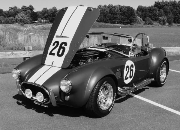 Rally Vintage Cobra Look