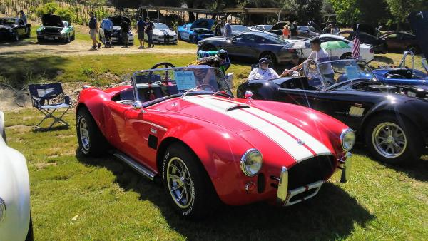 Saac cobra show 2018