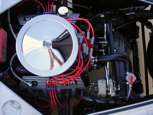 cobra8