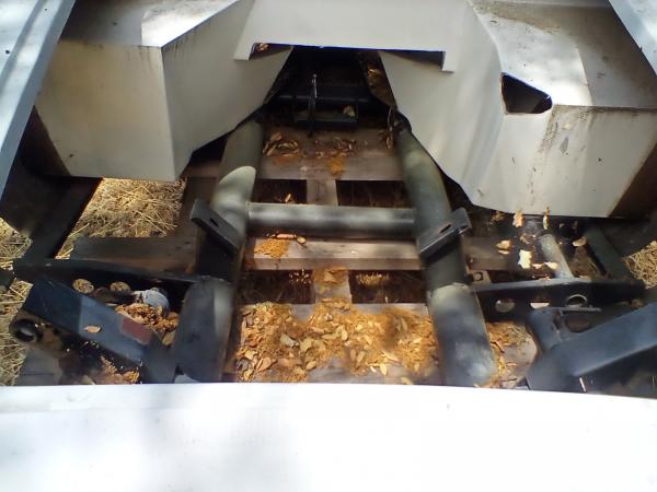 IMG 20230718 125215 burst 01