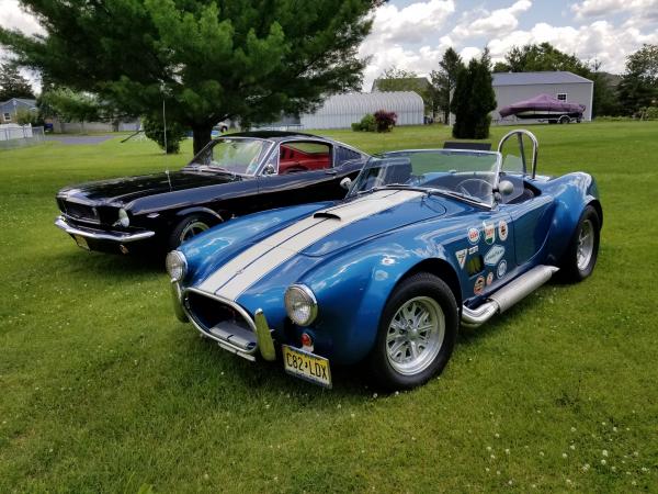 Cobra and Mustang