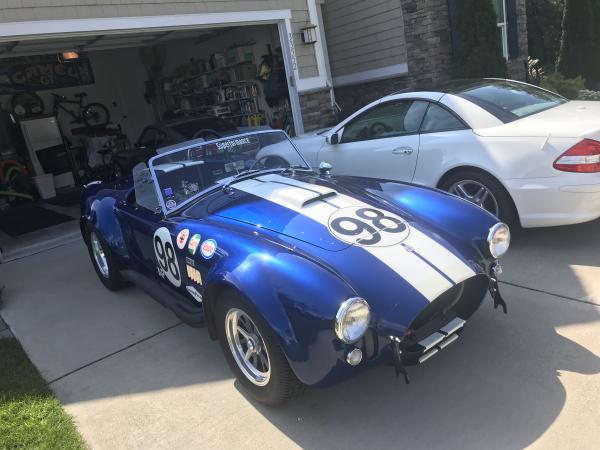Cobra in driveway