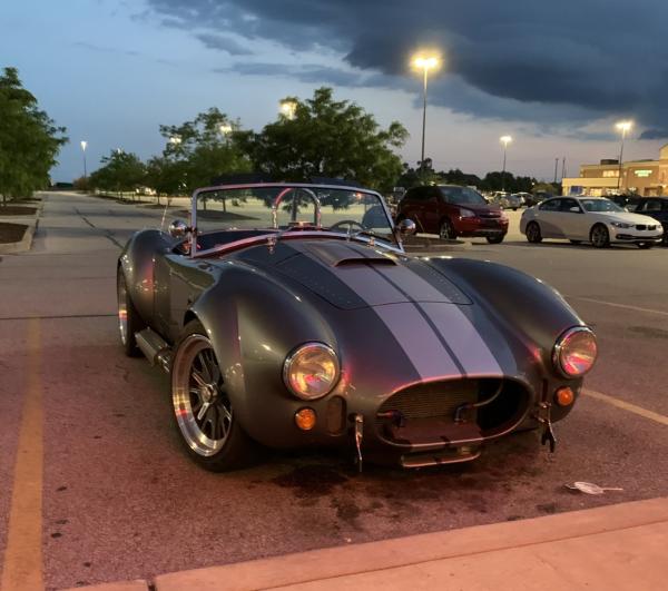 Grey Snake Waiting