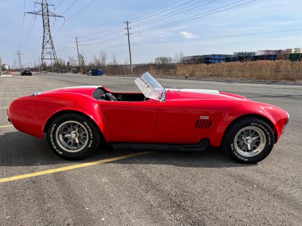 cobra side