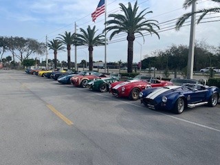 Cobras Lined up
