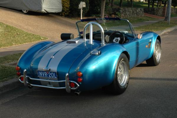 Cobra 080808 003