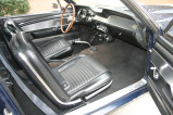 IMG 7425