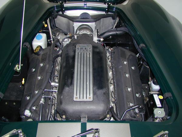 cobra aus 5 photos004