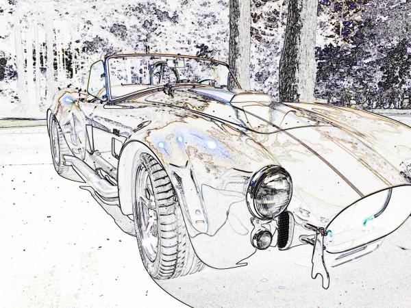 Cobra Inverted Color