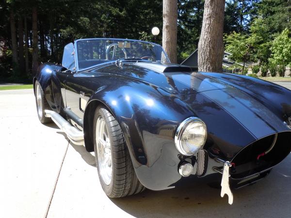 Cobra wo light