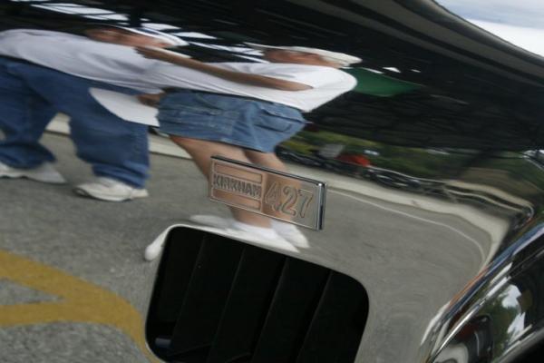 Cobra at Turkey Creek 2