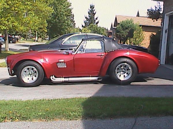 Cobra photos 009