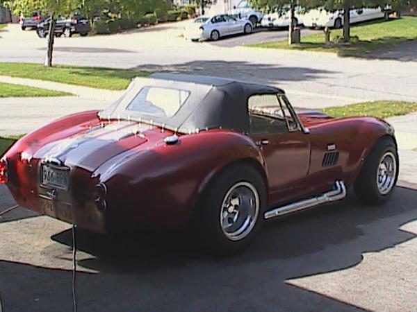 Cobra photos 008