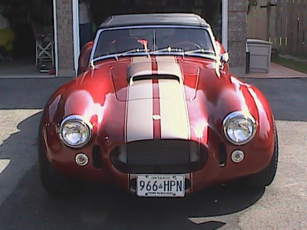 Cobra photos 011