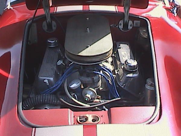 Cobra photos 005