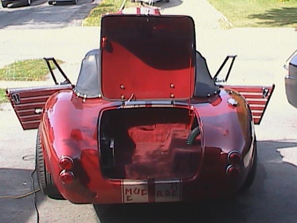 Cobra photos 006