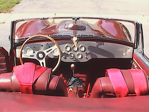 Cobra photos 014