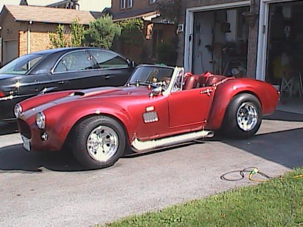 Cobra photos 016