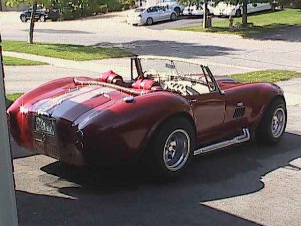 Cobra photos 017