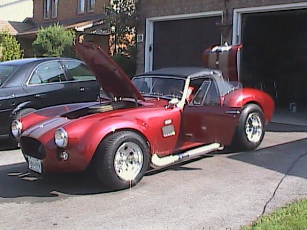 Cobra photos 002