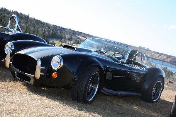 Snakes on a hill Fall 2011 Edmonton AB