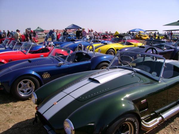 Cars in the Park 02