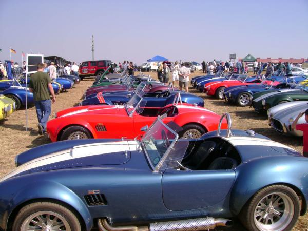 Cars in the Park 03