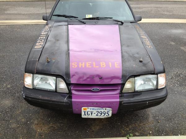The rare Shelbie 250