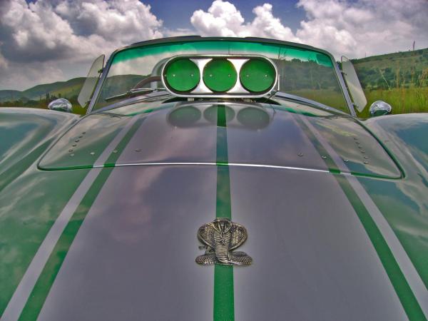 AC Cobra badge and hood scoop.