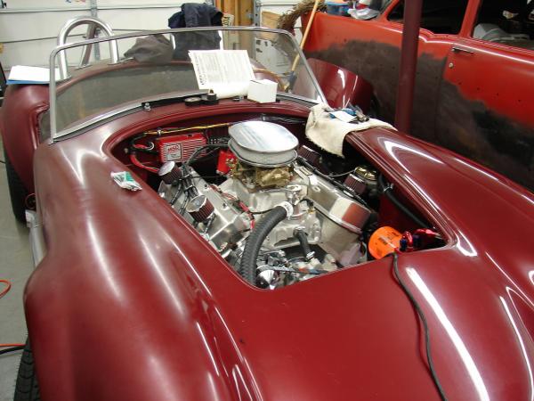 cobra pics 001