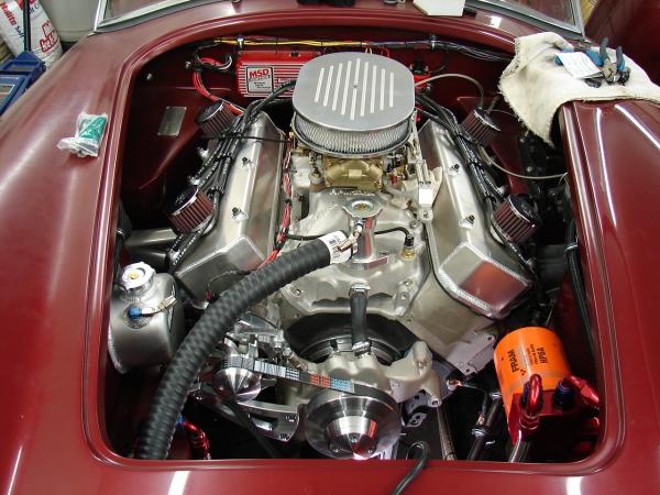 cobra pics 004