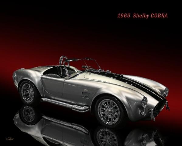 Landry%20Daryl%2066%20Cobra%20silver%203[1]