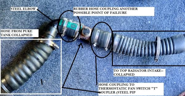 hose cobra#2