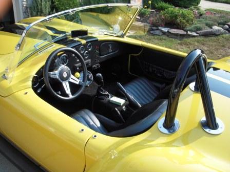 Cobra pics 2 009