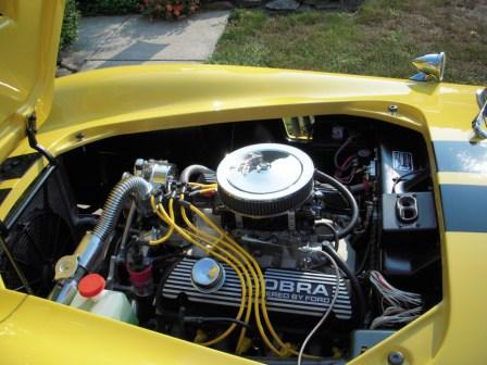 Cobra pics 2 010