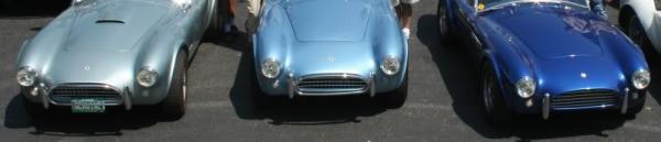 Cobra 289 blues