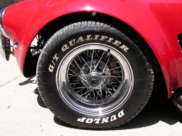 cobra pics 002