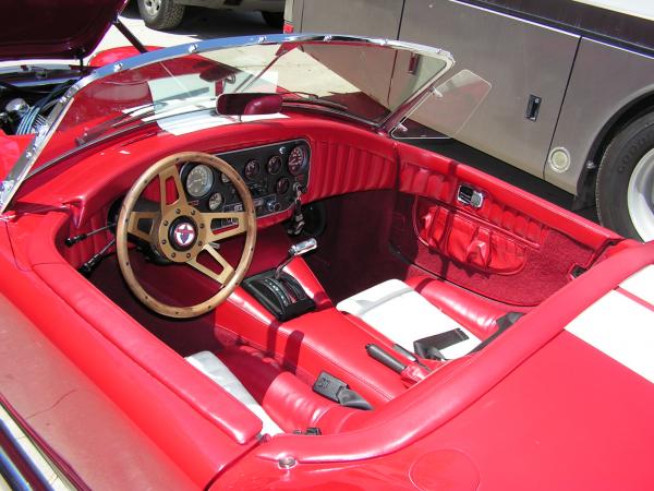 cobra pics 003