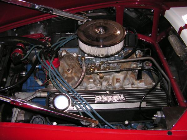 cobra pics 005