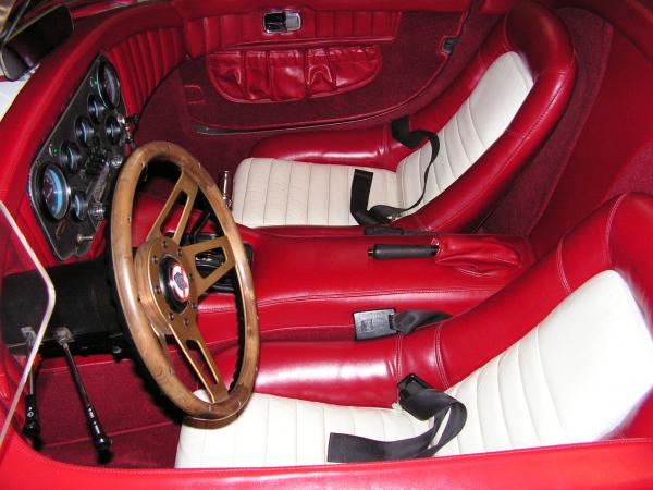 cobra pics 009