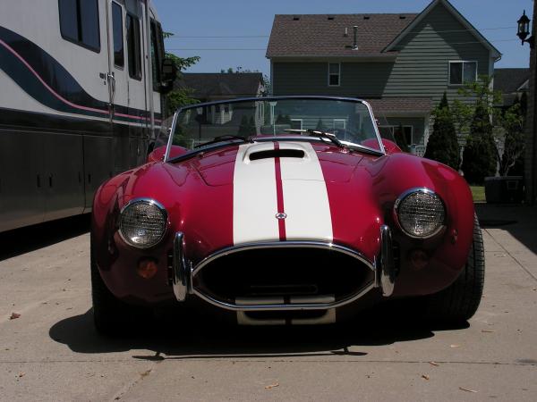 cobra pics 010
