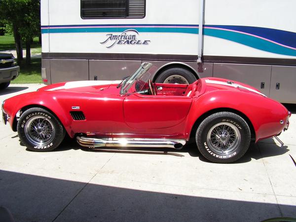 cobra pics 011