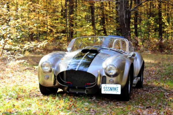 Cobra144 1