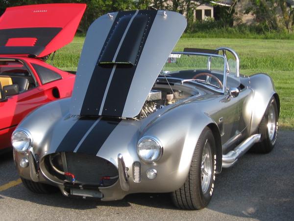 Cobra6